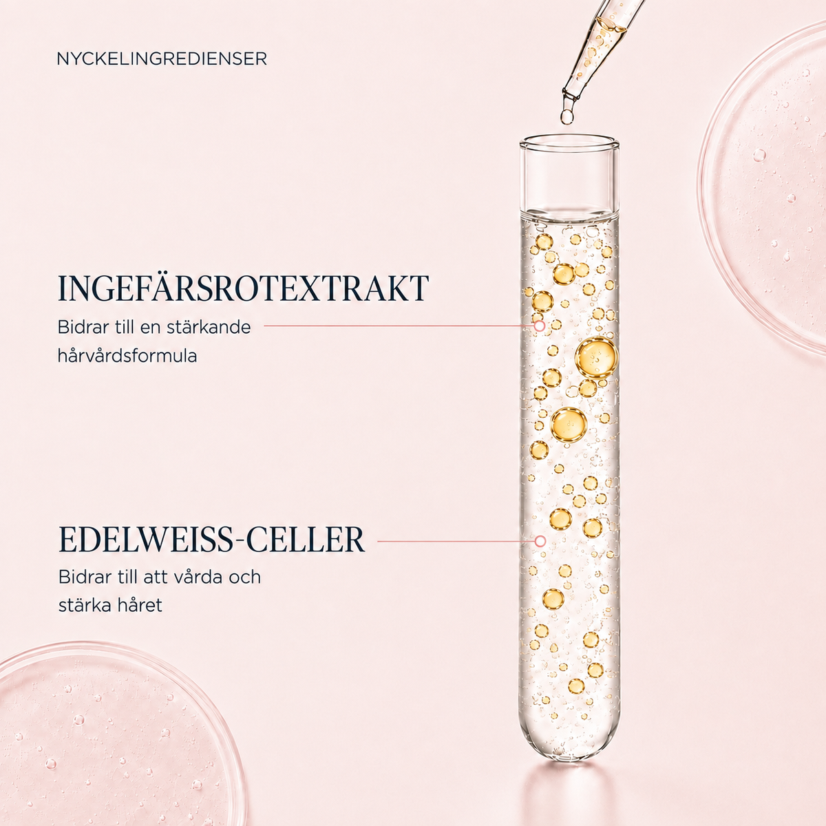 Nyckelingredienser i Genesis: ingefärsrotextrakt och edelweiss-celler