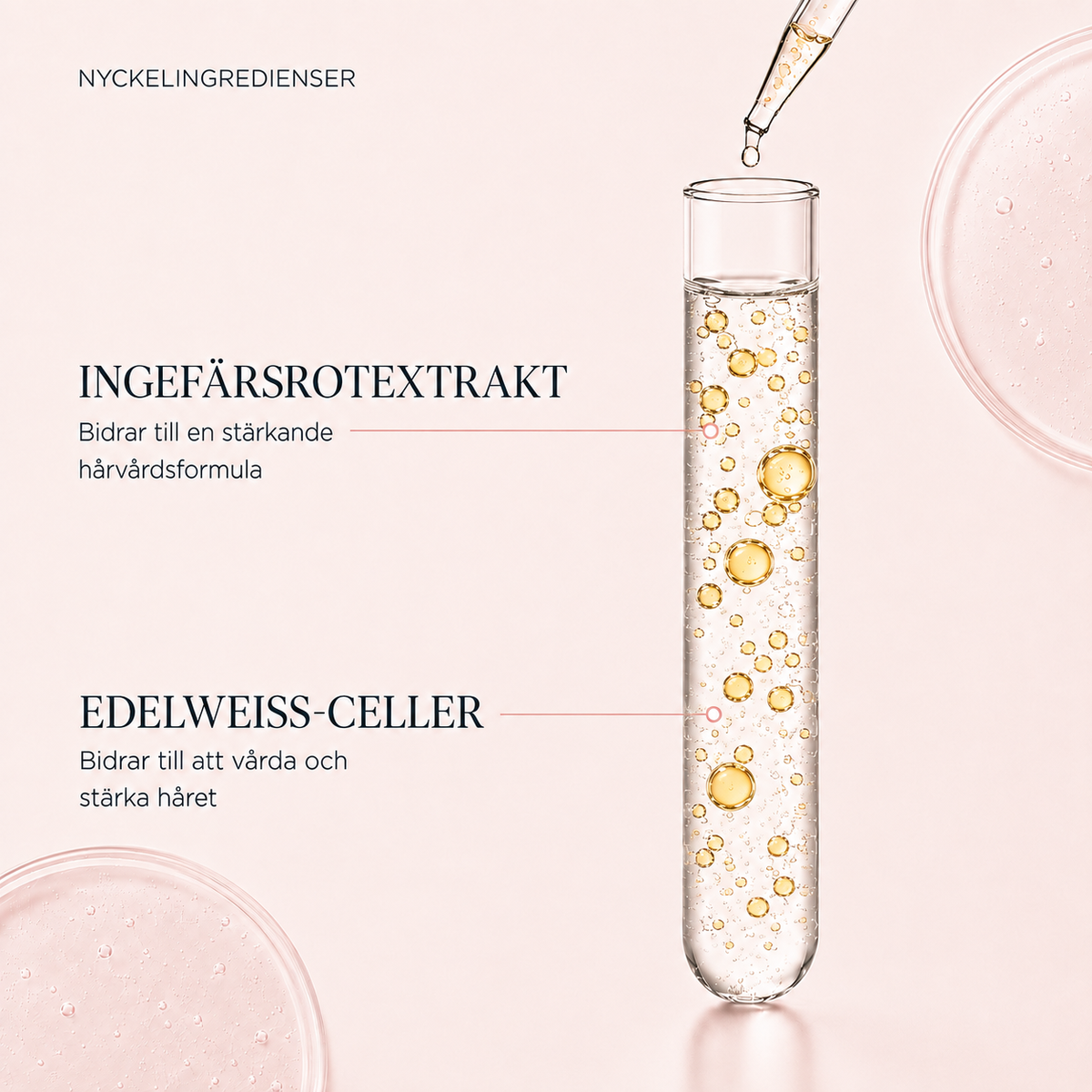 Nyckelingredienser i Kérastase Genesis Bain Hydra-Fortifiant: ingefärsrotextrakt och edelweiss-celler