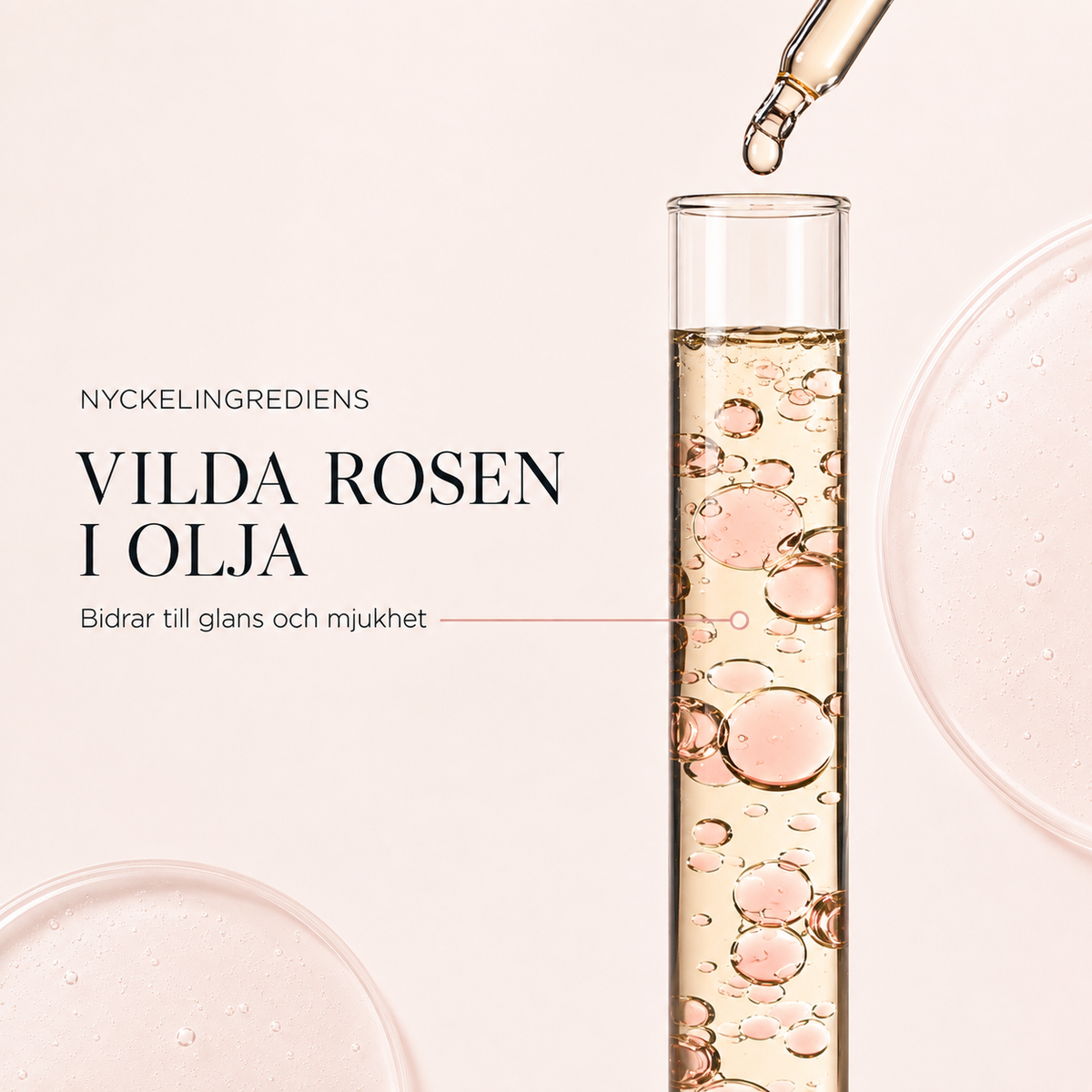 Vilda rosen i olja – nyckelingrediens i Kérastase Gloss Absolu Glaze Drops